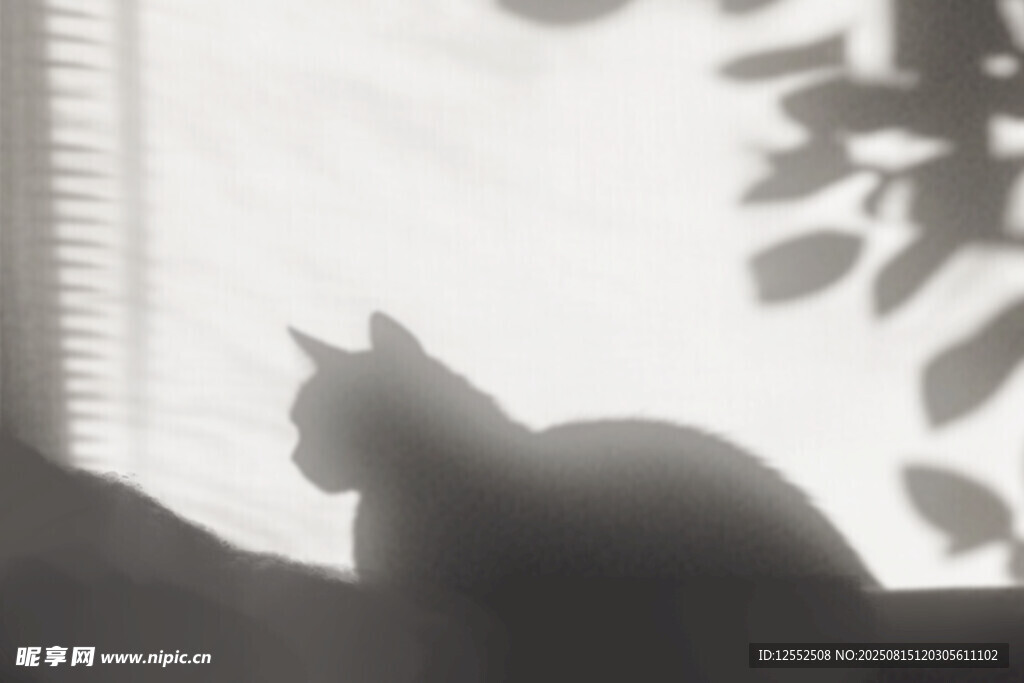 窗边猫咪剪影