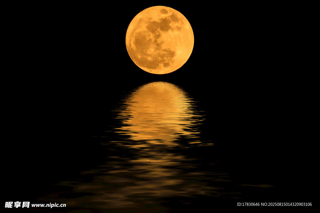 水中映月的静谧美景