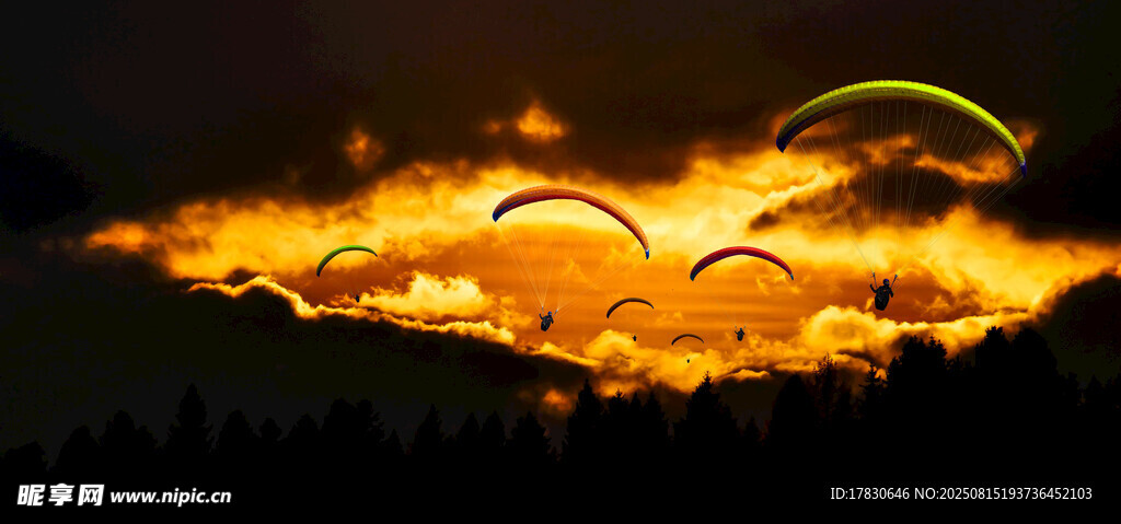 天空中飞翔的火焰鸟