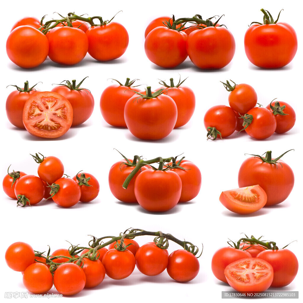 多样番茄展示