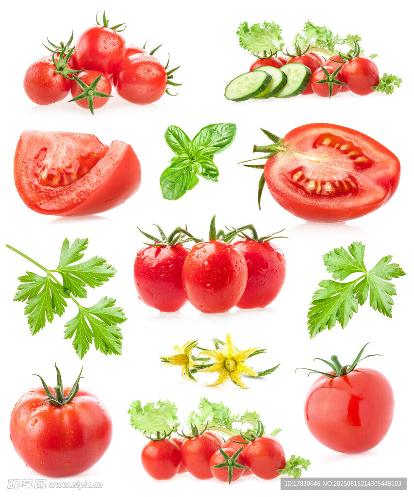 新鲜番茄与黄瓜等蔬菜组合