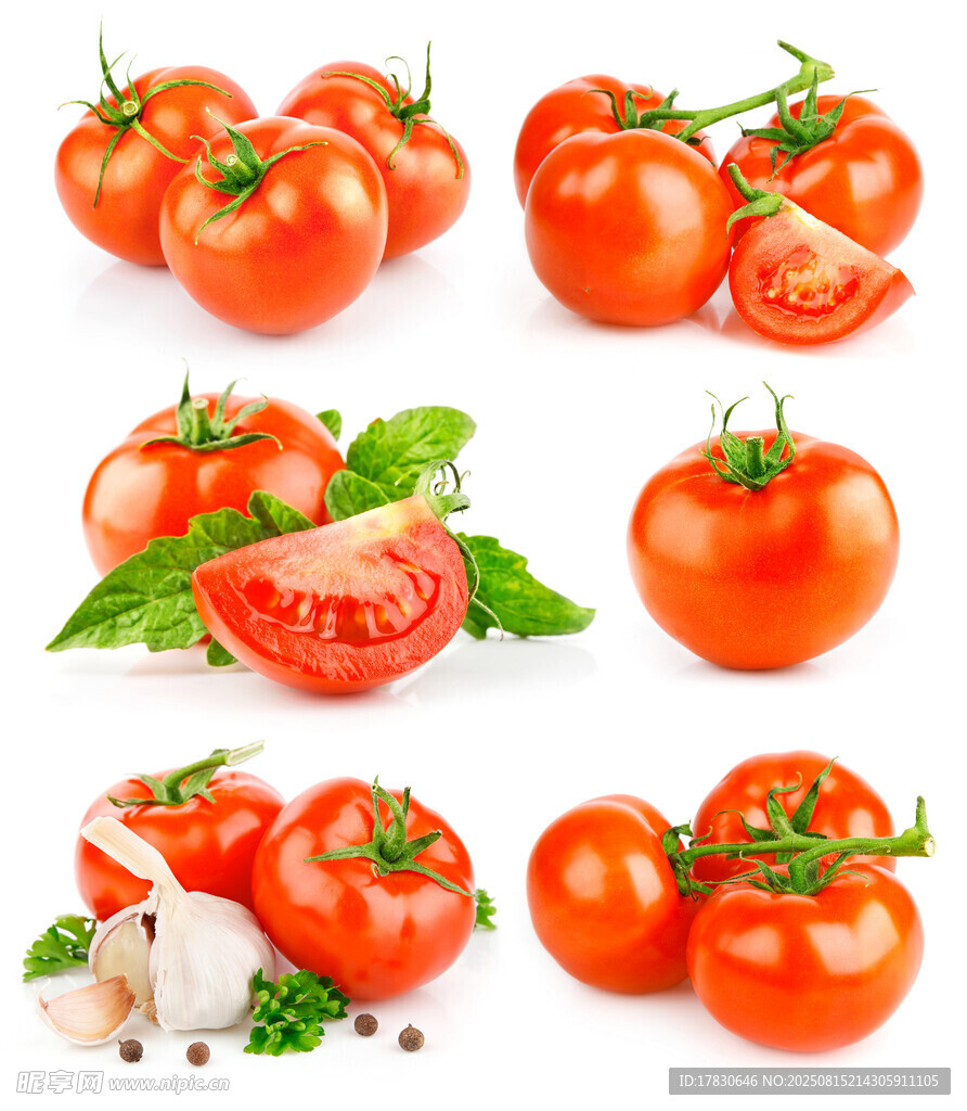 多样新鲜西红柿组合展示