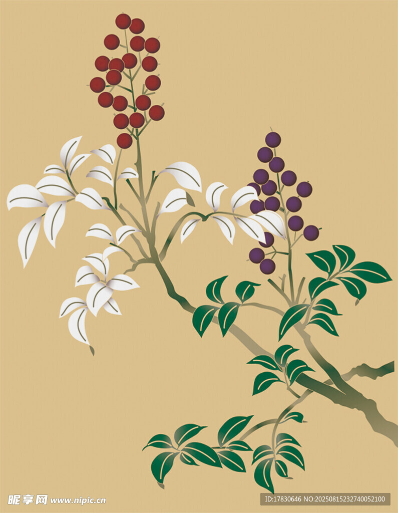 中式花卉枝叶插画