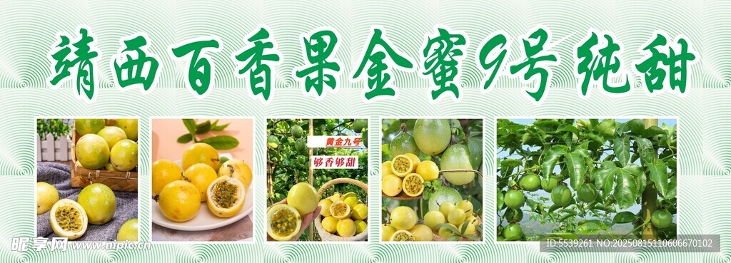 百香果种植与丰收场景