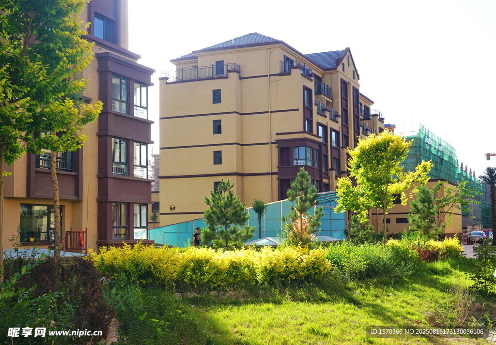 小区住宅周边绿化景观