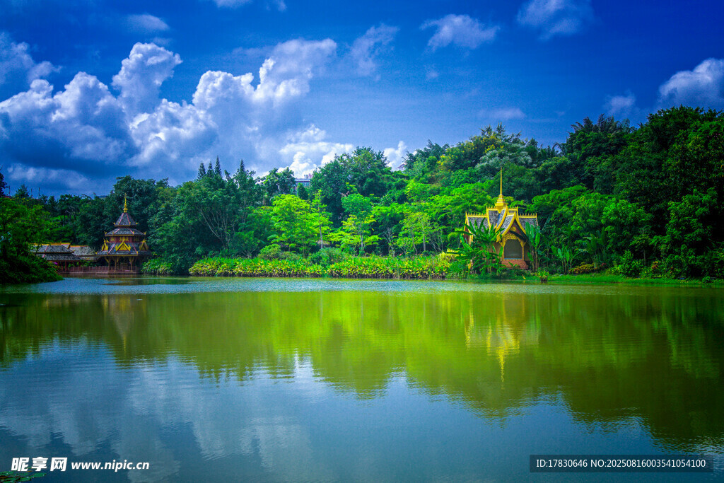 西双版纳曼听公园