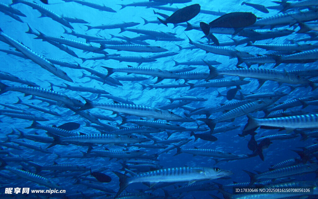 蓝色水底纹理图案