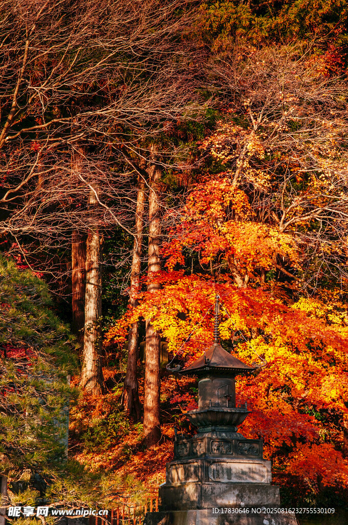 秋日山林中的古朴石塔