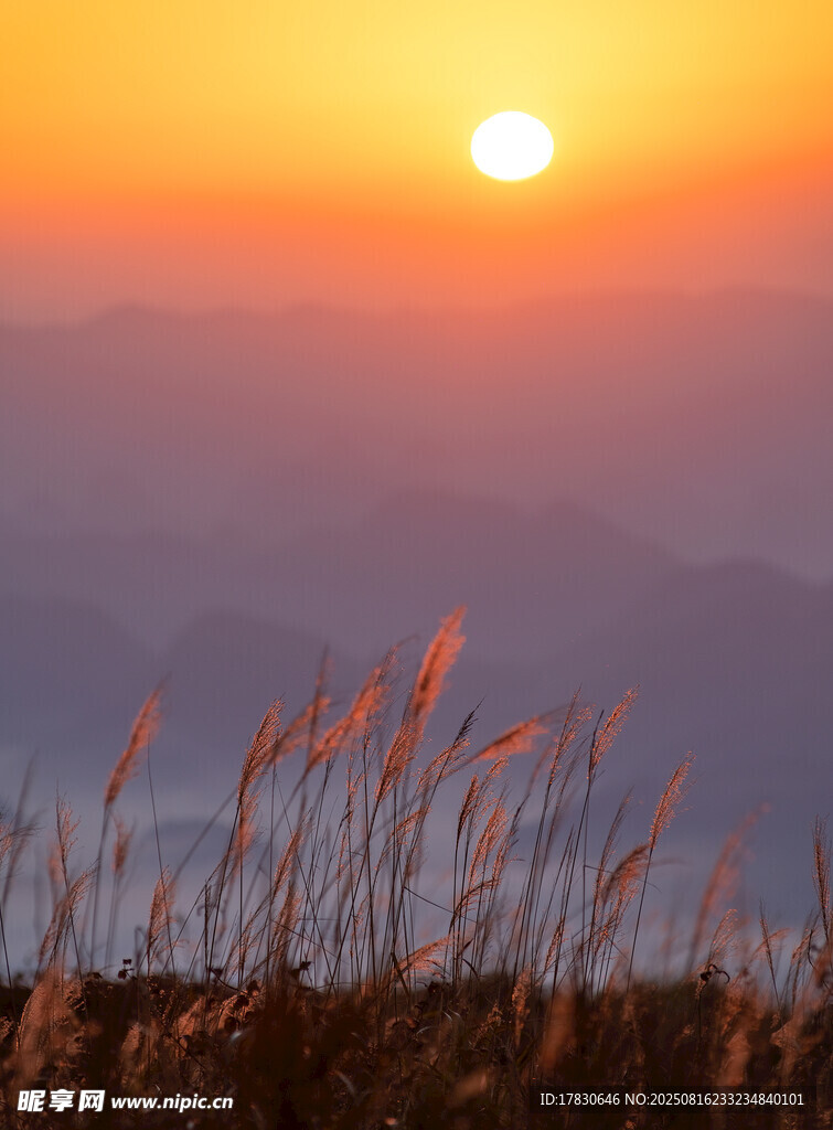 夕阳下的原野美景