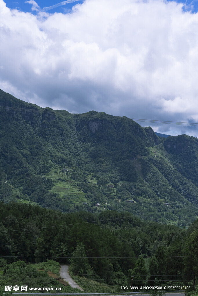 青山翠谷间的蜿蜒小路