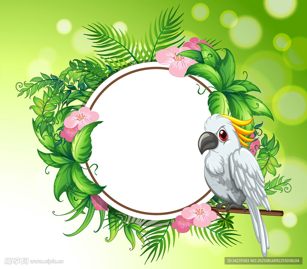 鹦鹉插图