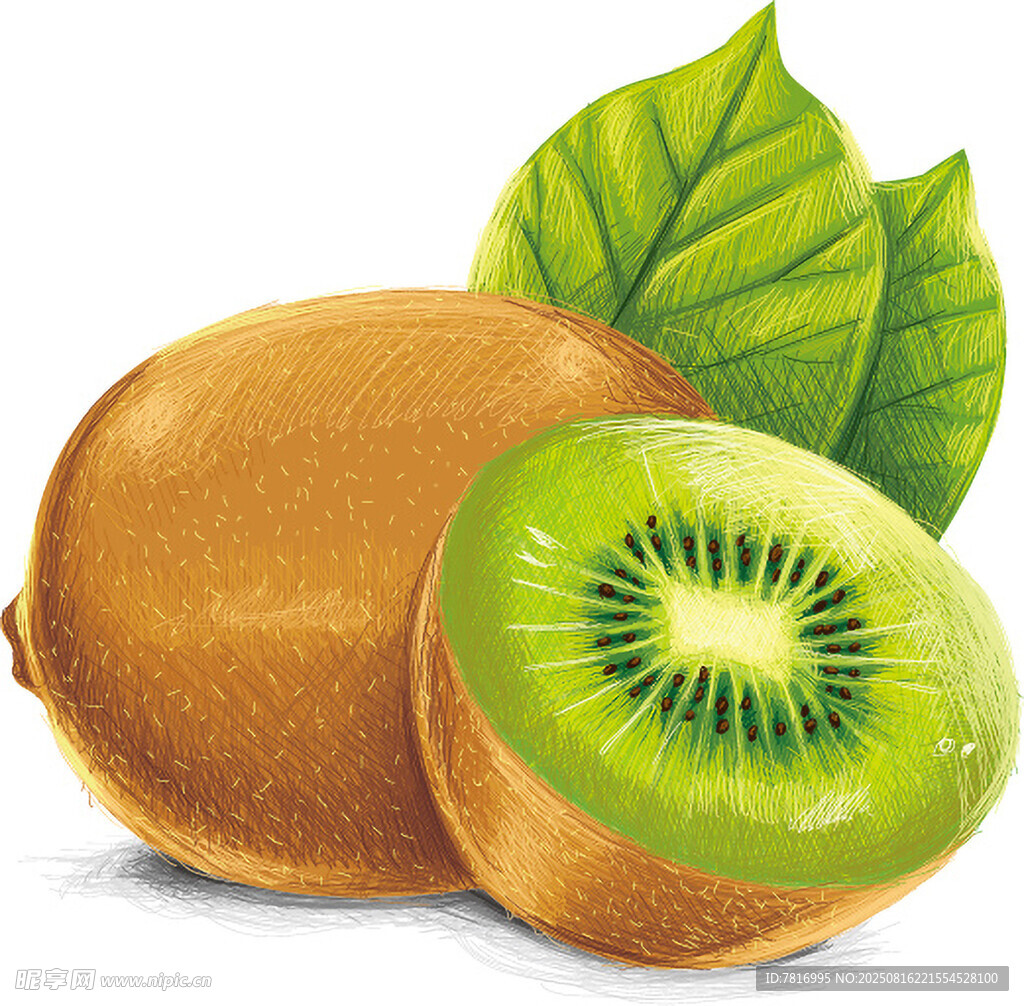 新鲜猕猴桃果肉翠绿诱人