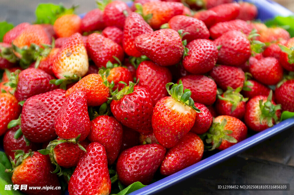 新鲜诱人的草莓大集合