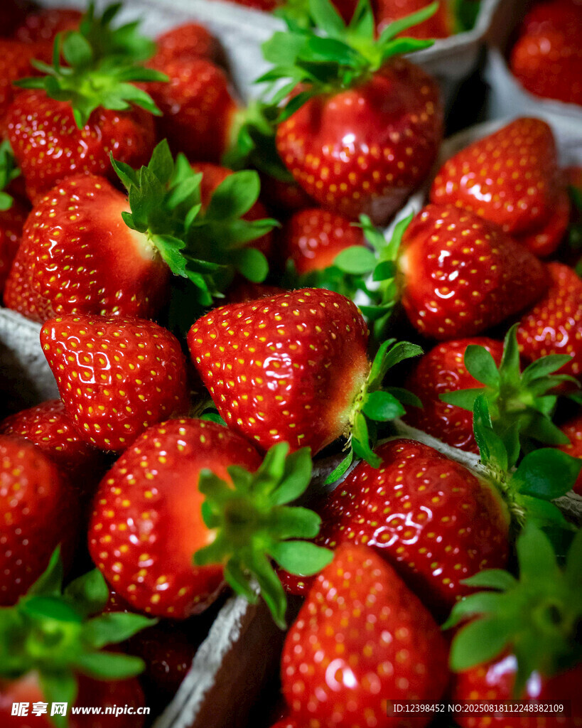 新鲜诱人的草莓果实