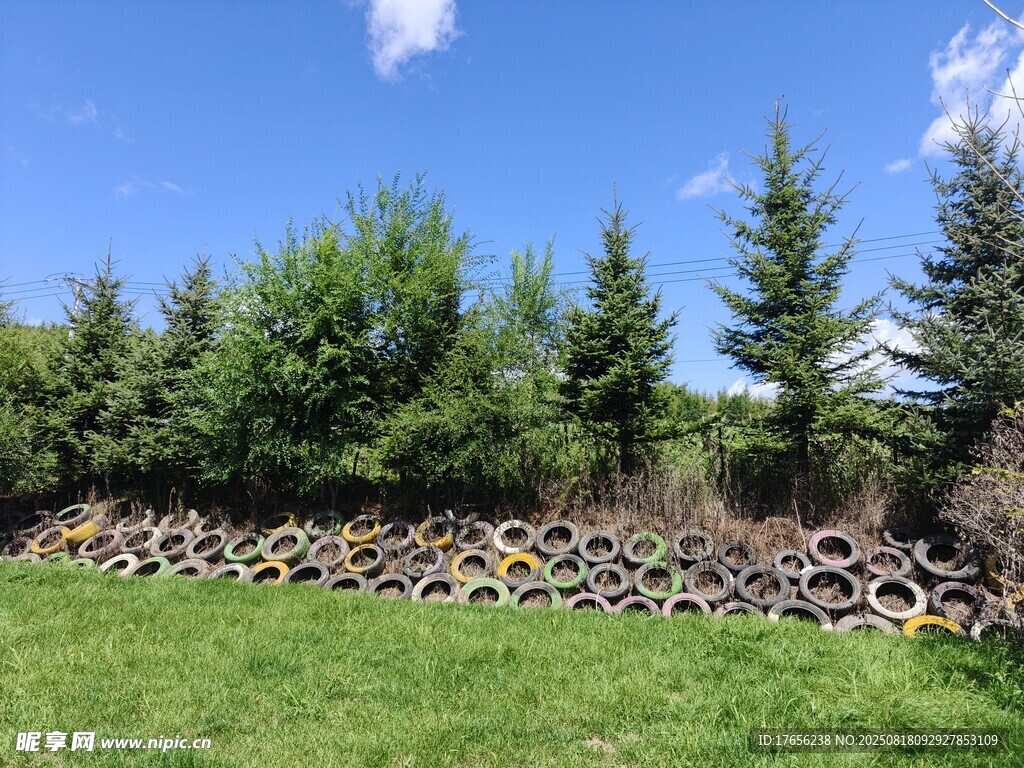 草地旁的轮胎与树木景观
