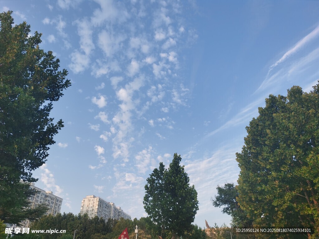 蓝天绿树间的清新景致