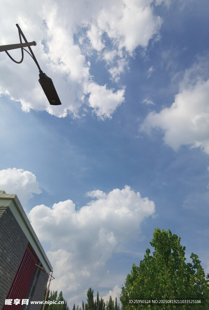 空中悬挂的黑桨叶