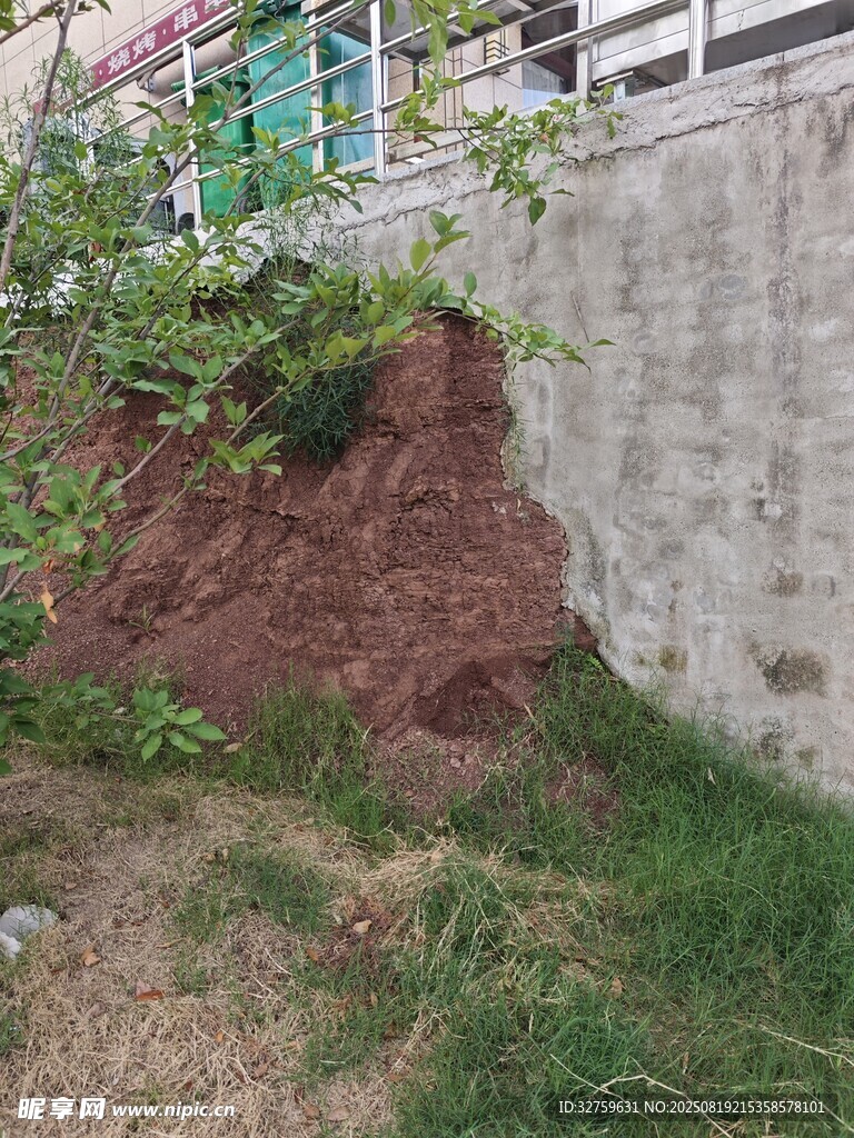 墙边红褐色土堆与绿植