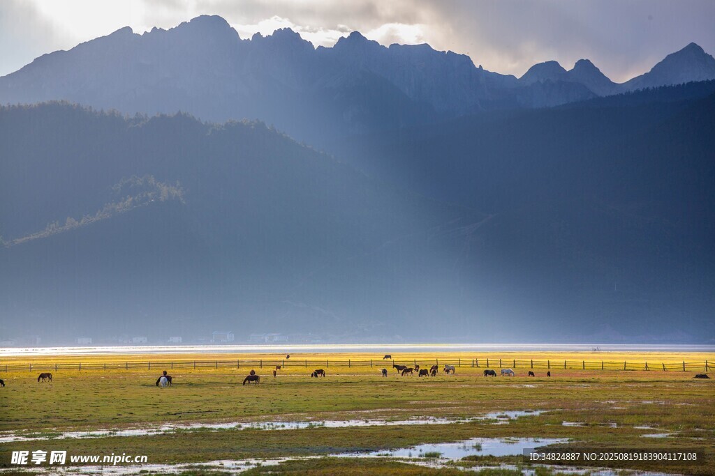 壮美草原与远山风光