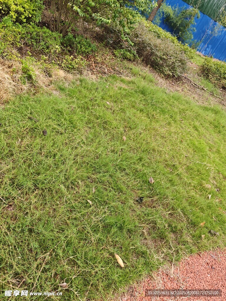 户外草地与红色步道景观