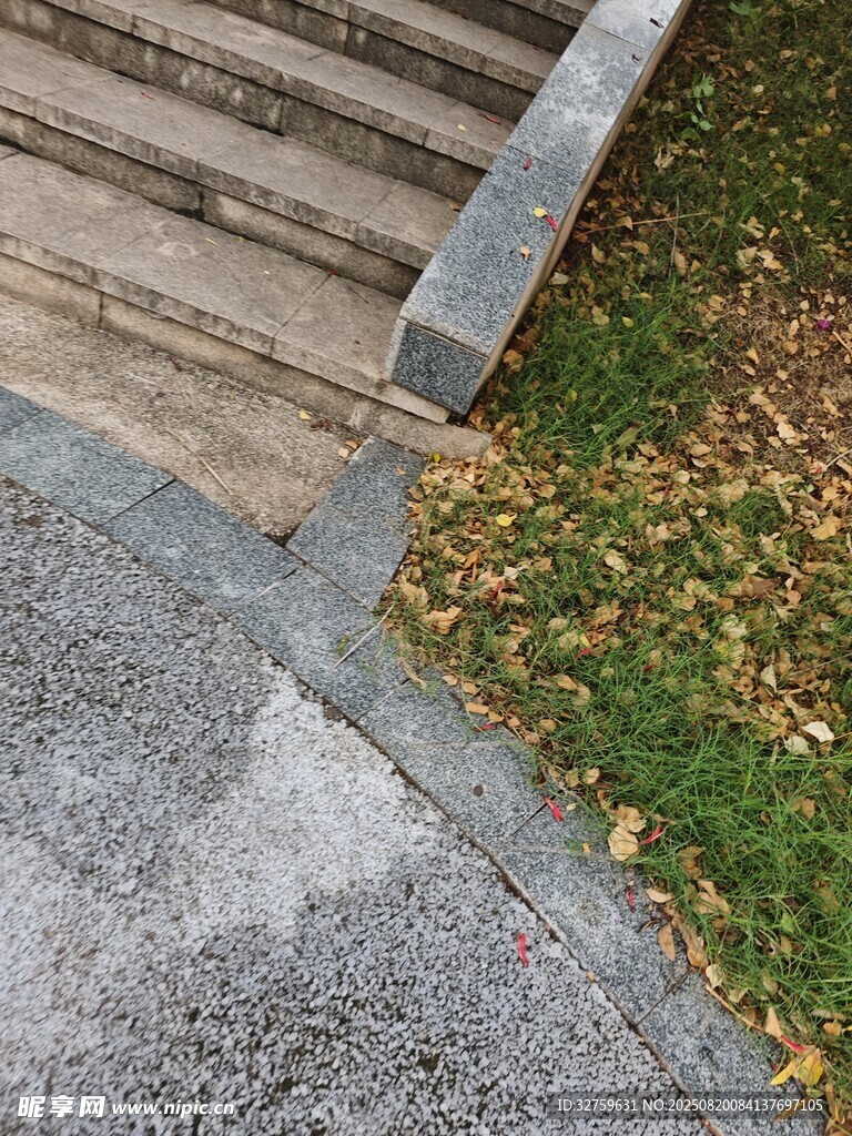 石板旁草地与落叶景致