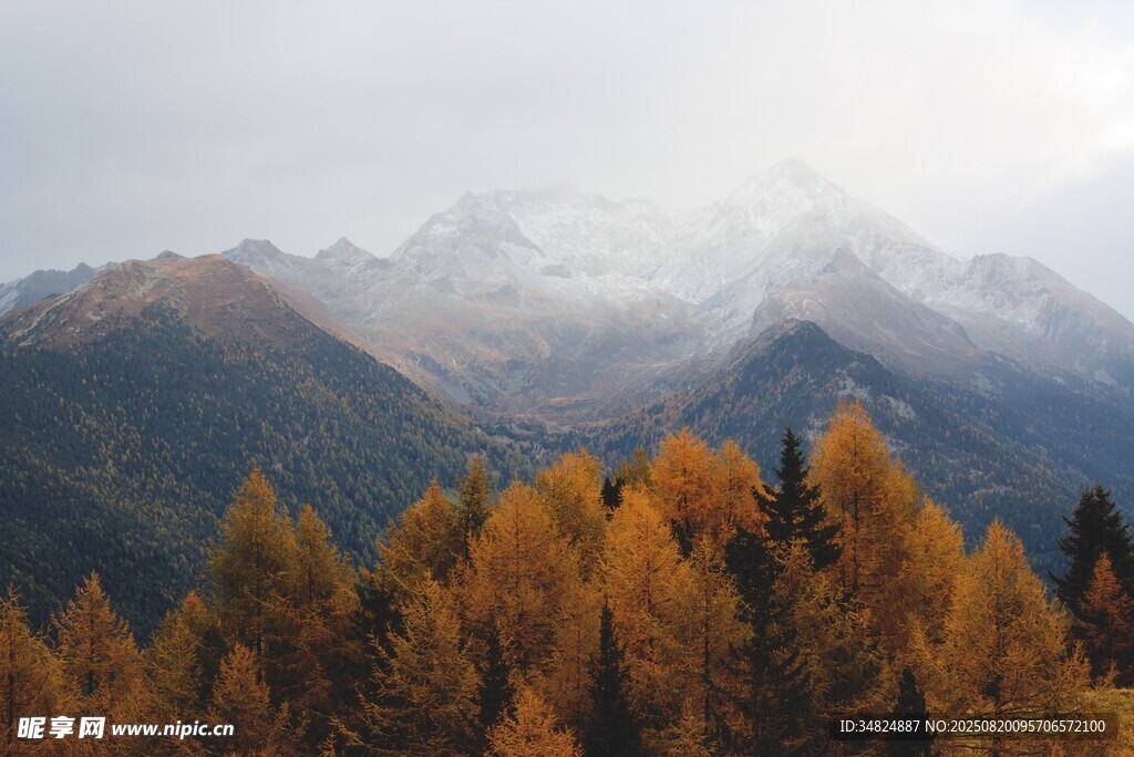 秋日山林中的壮丽山脉