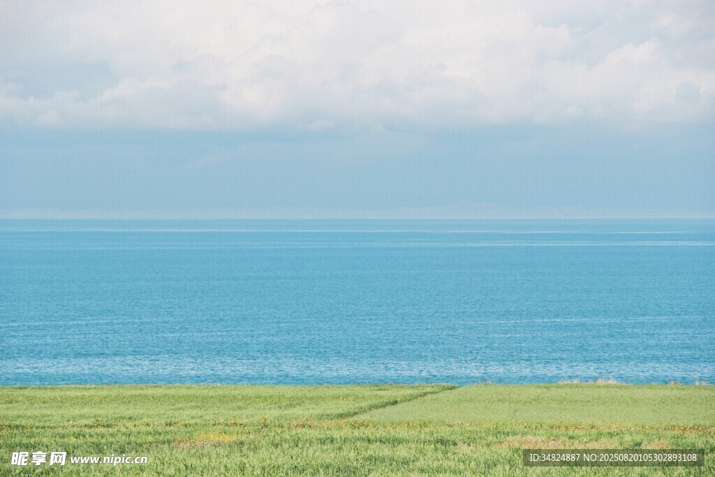 草原旁的辽阔蓝色海洋