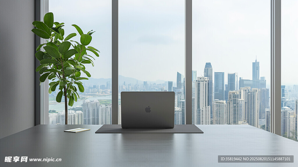 窗边办公场景绿植相伴