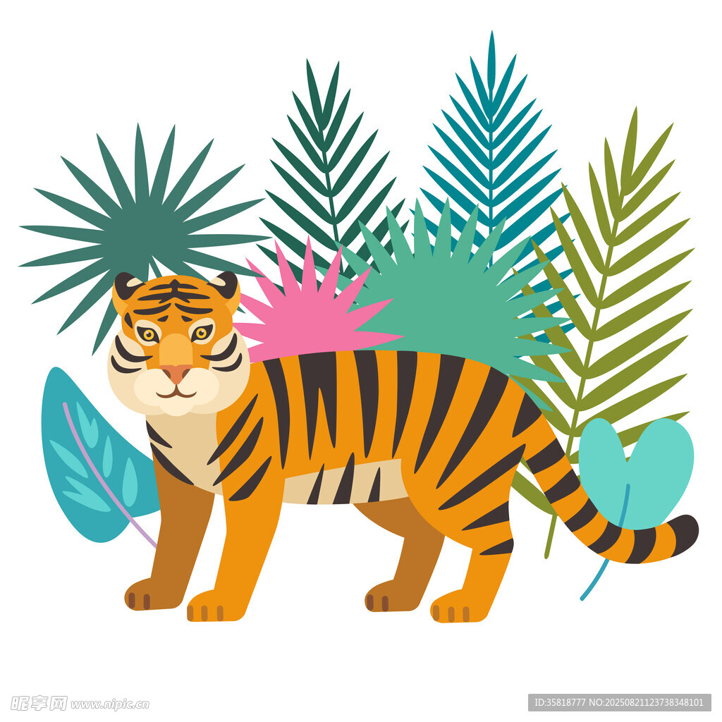 老虎插图
