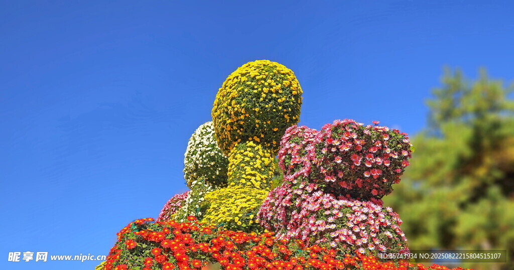 多彩造型花卉景观