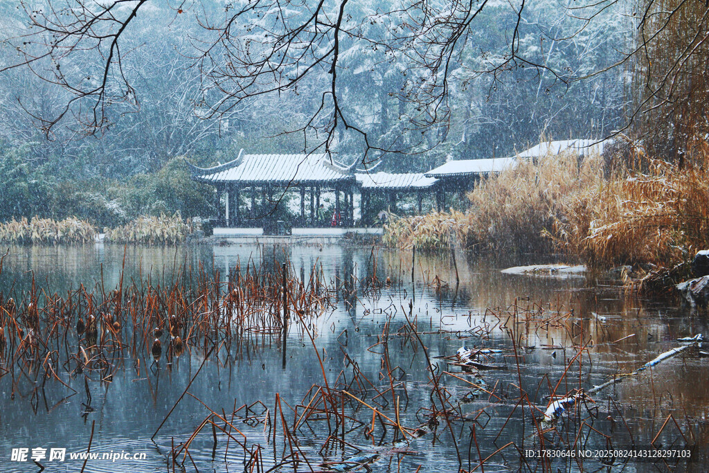 南京玄武湖冬景
