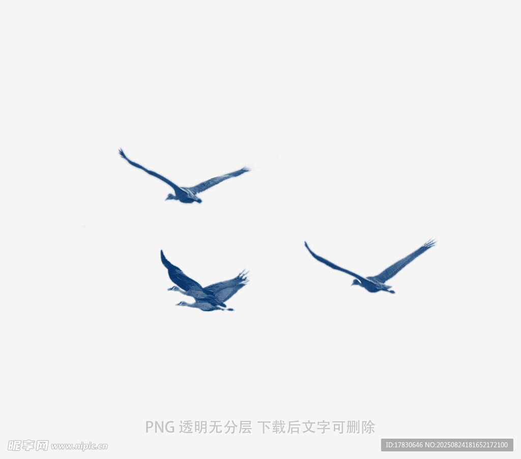 三只飞鸟翱翔于天际