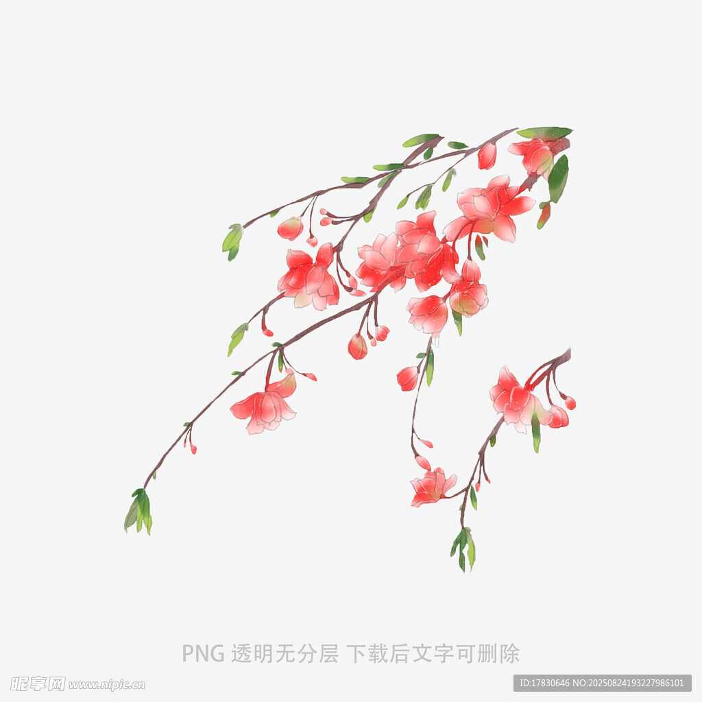 水墨桃花枝