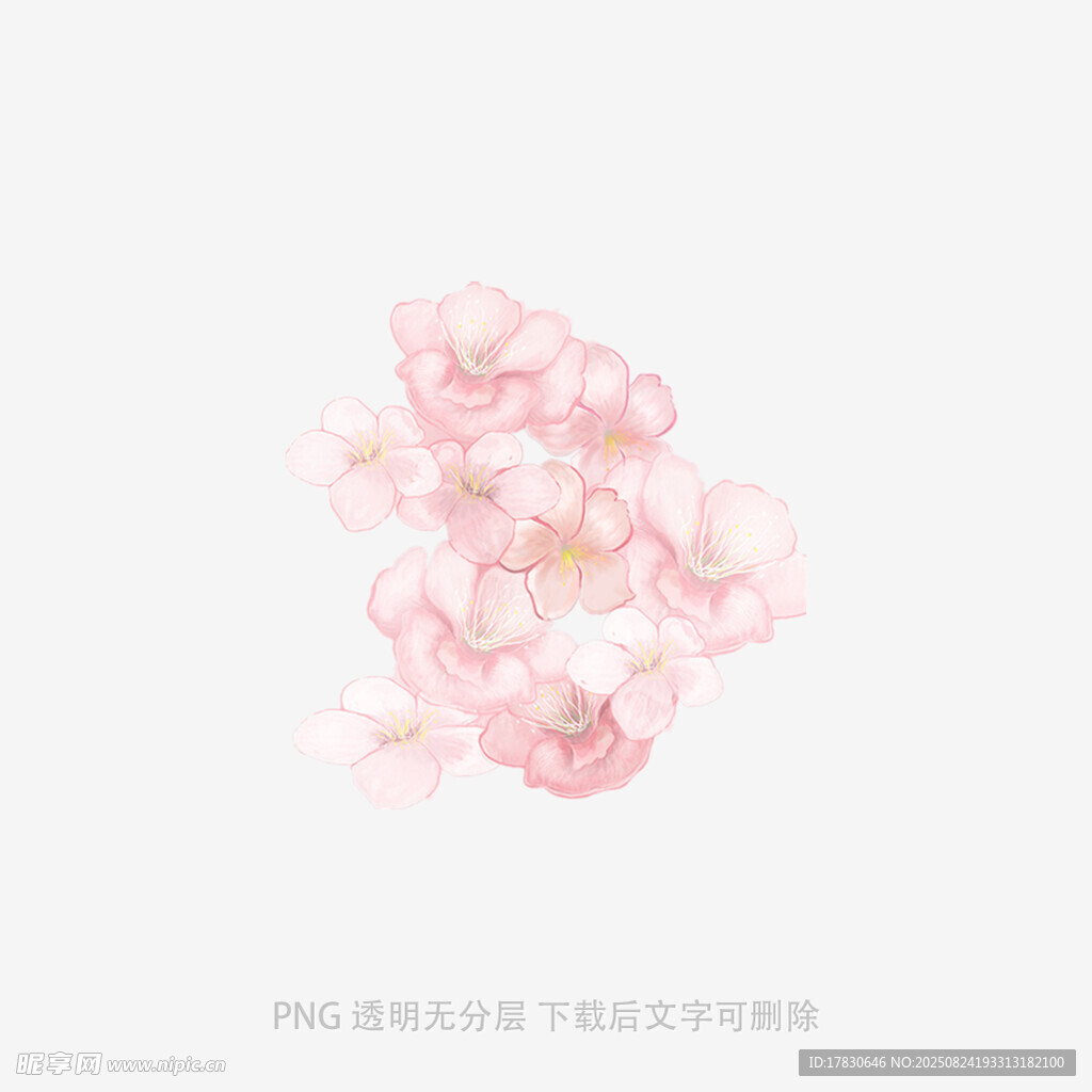 粉色梦幻花朵插画