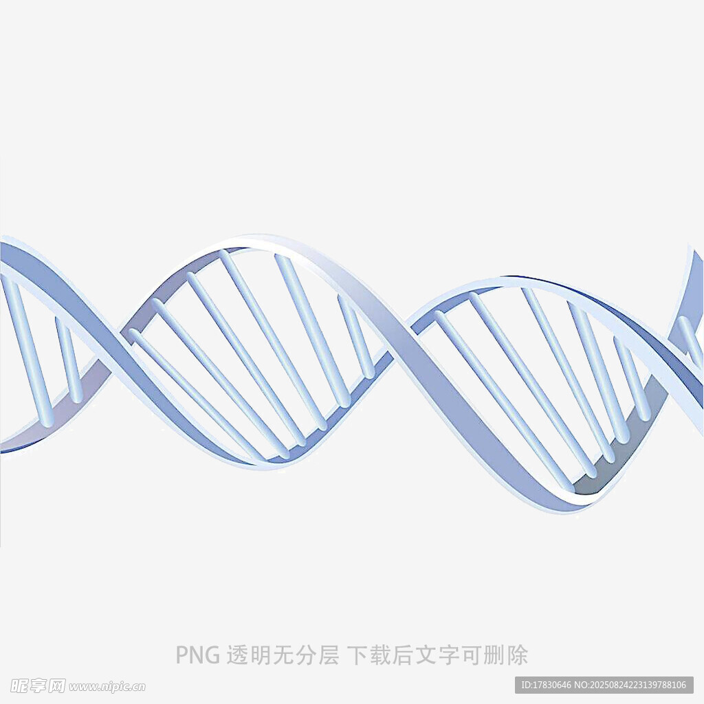 双螺旋DNA结构示意图