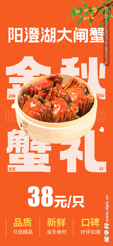 阳澄湖大闸蟹展架