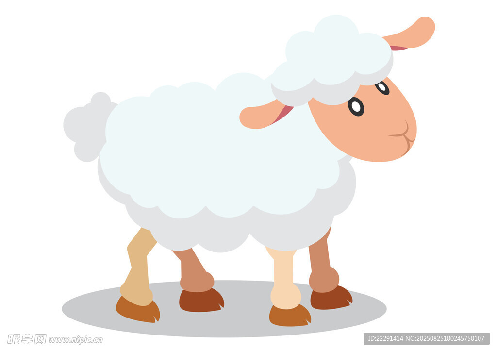 可爱绵羊插画