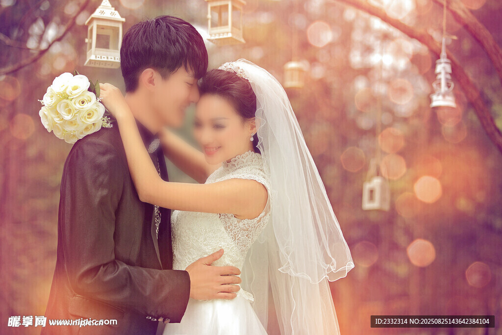 婚礼素材 婚纱效果 肌理朦胧感