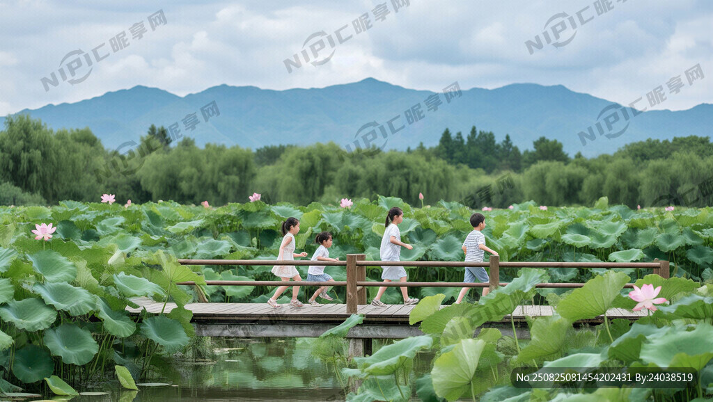 儿童嬉戏、荷花、荷叶、没有水、
