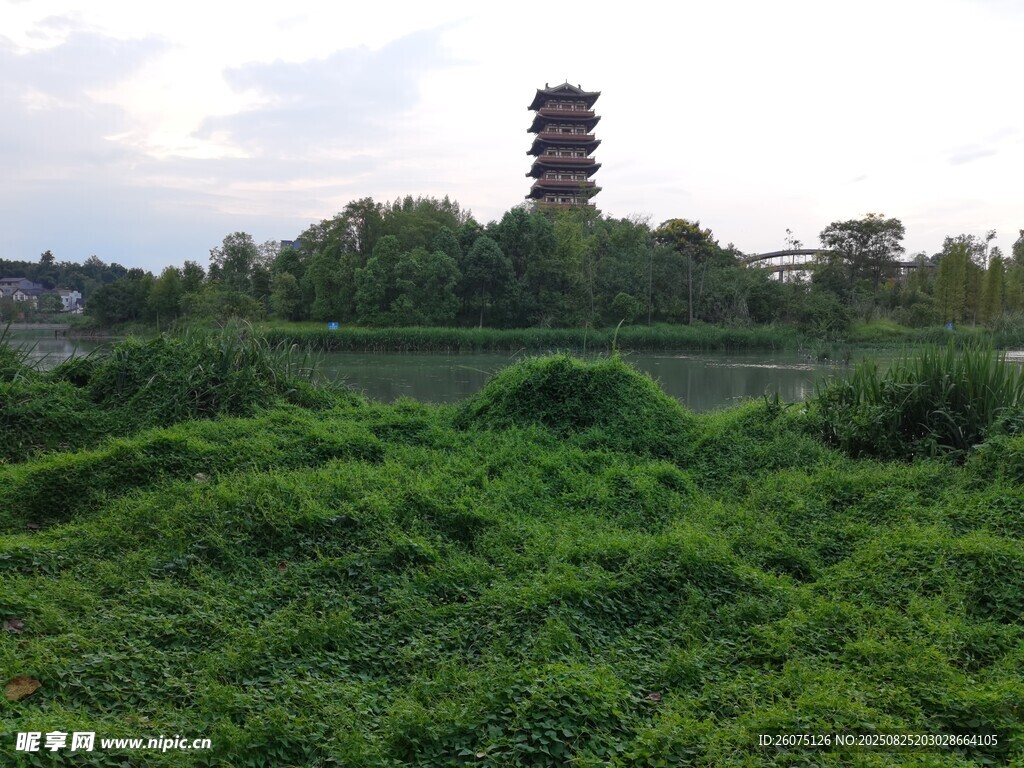 古塔旁的葱郁绿植景观