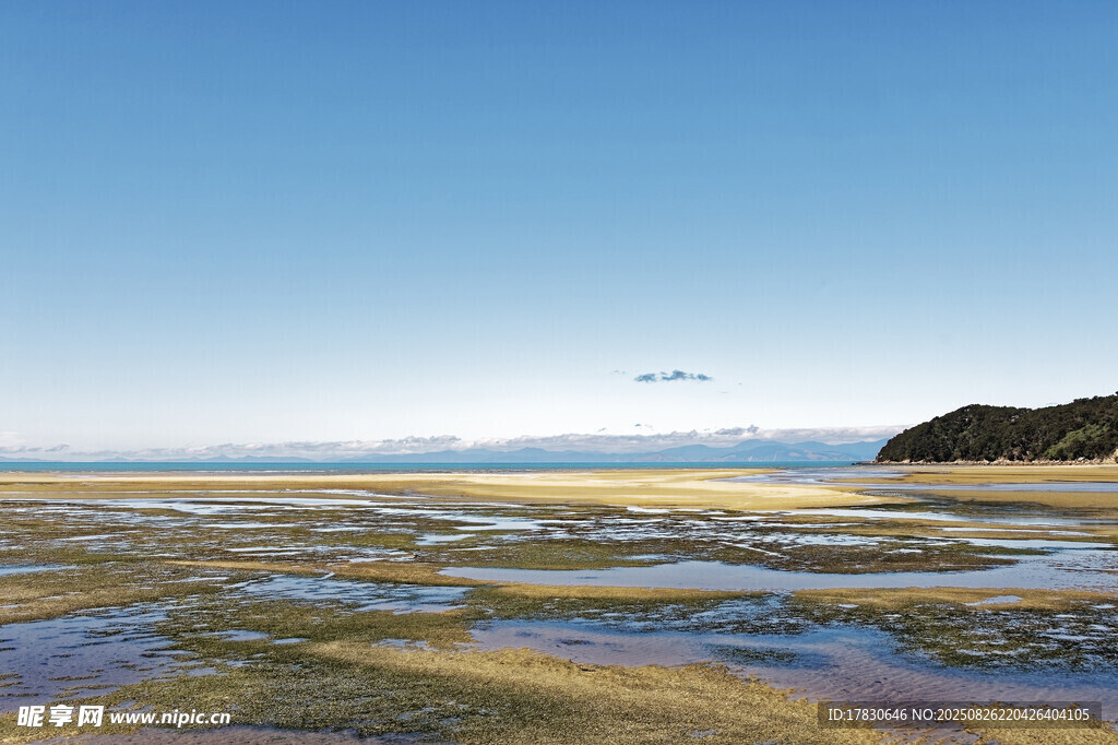 海边滩涂风光