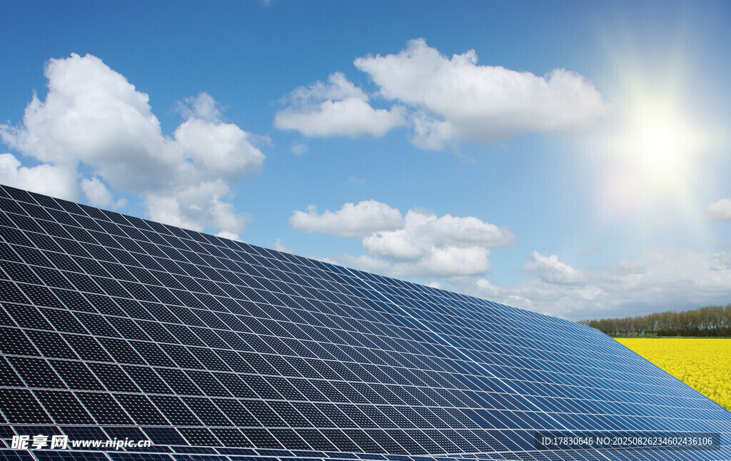 蓝天光伏板与金黄田野