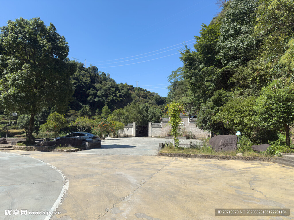 林间开阔停车场景观