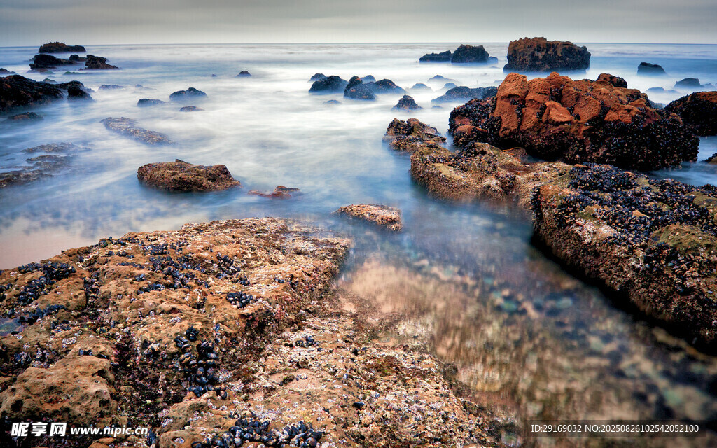 海边礁石与海浪美景