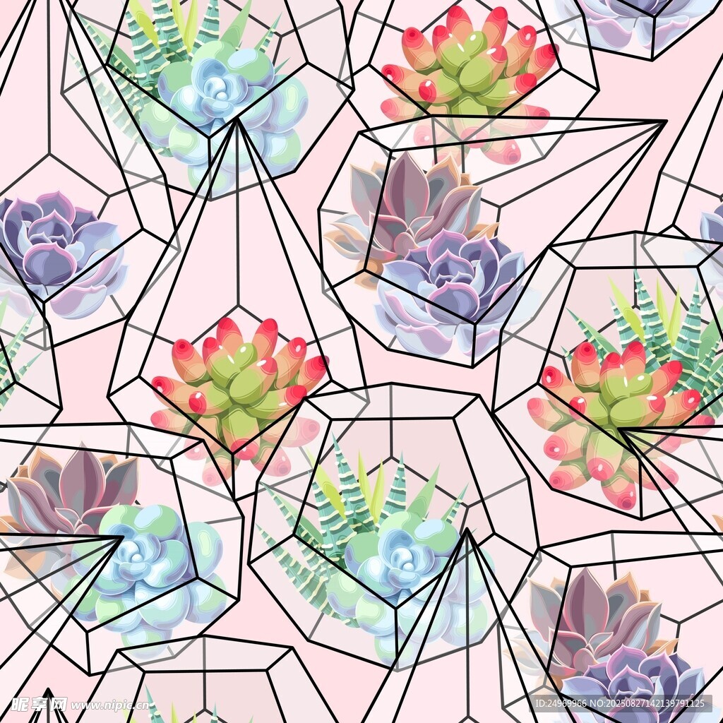 多肉植物几何图案背景