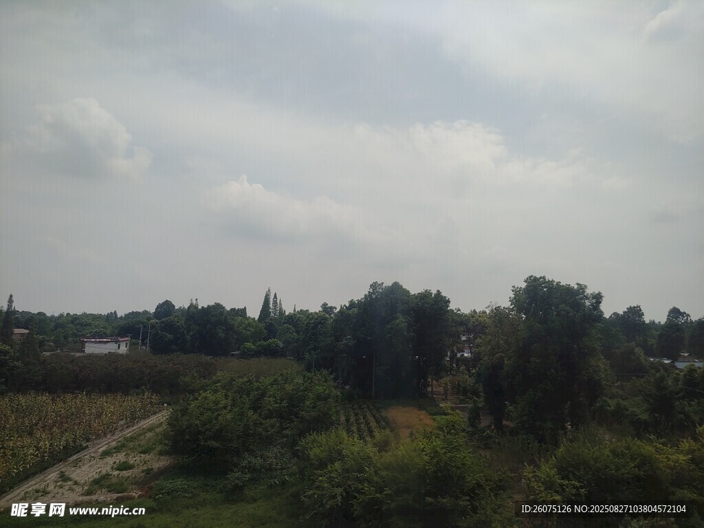 乡村田野风景远眺