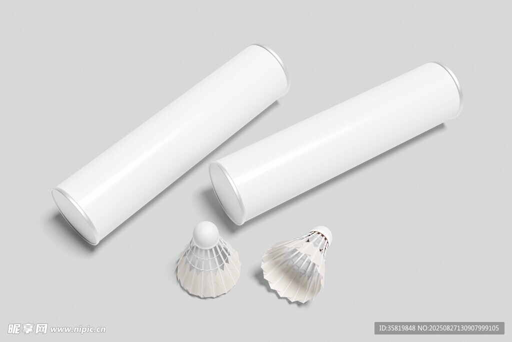 羽毛球包装样机