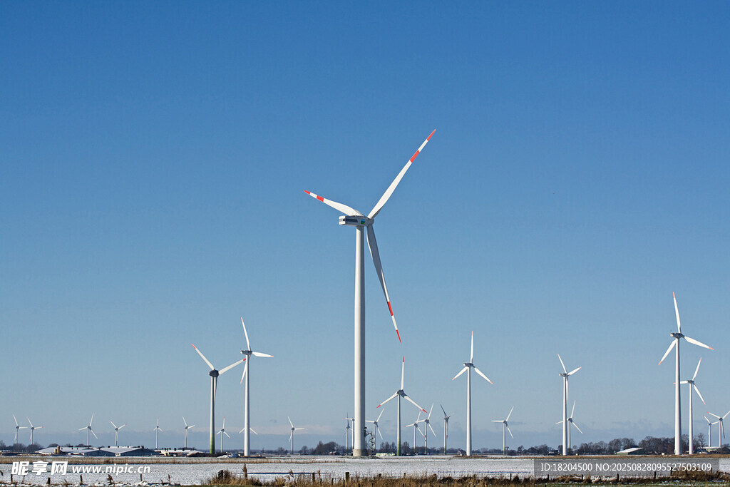 田野上的风力发电机组