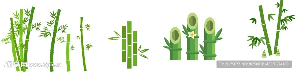 清新绿植 自然生机展现