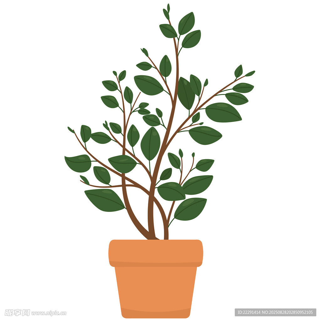 盆栽绿植卡通图片